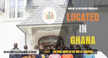 Discovering Belgium's Embassy in Ghana: Your Essential Guide