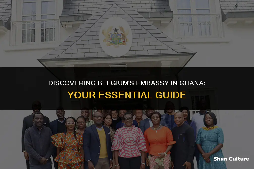 where is belgium embassy located in ghana