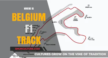 Exploring the Heart of Motorsport: Belgium's F1 Track Unveiled