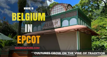 Exploring Belgium's Charm at Epcot: A Travel Guide