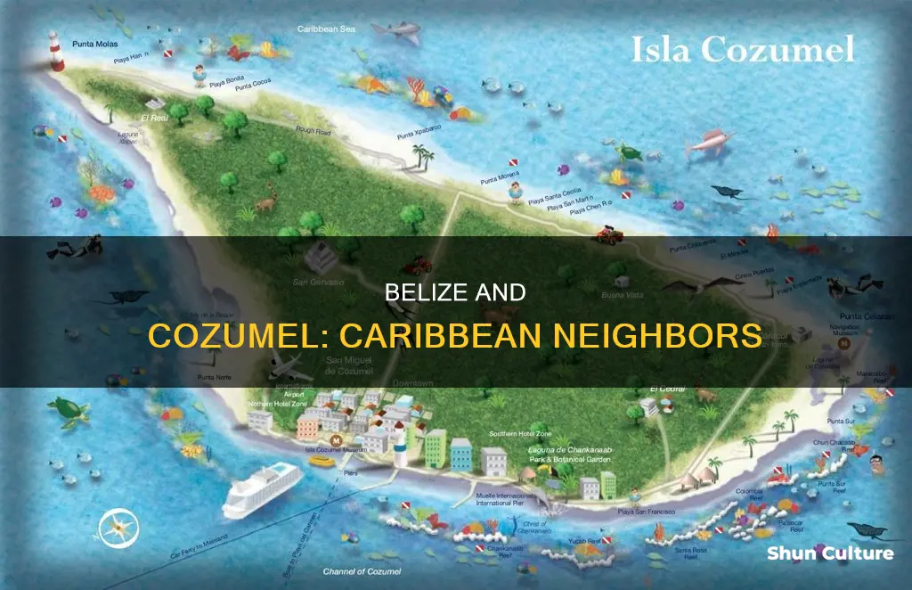 where is belize and cozumel