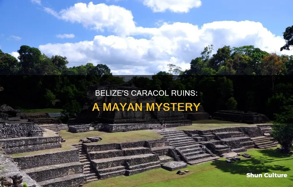 where is belize caracol ruins