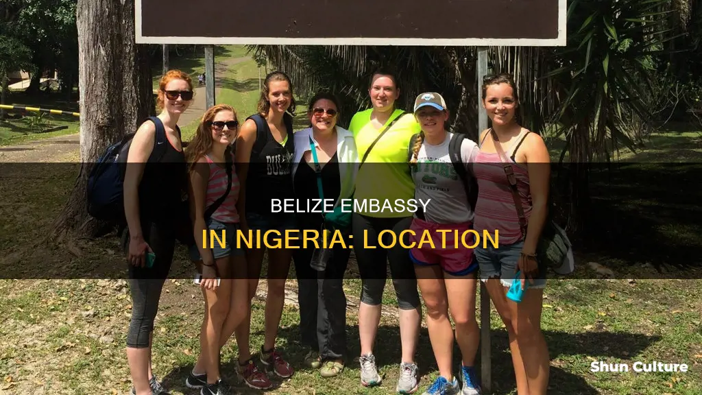 where is belize embassy located in nigeria