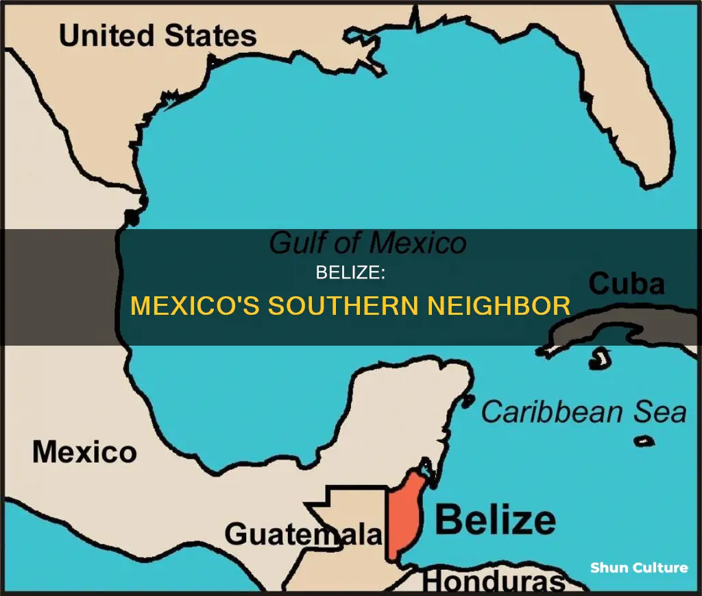 where is belize in relation to mexico