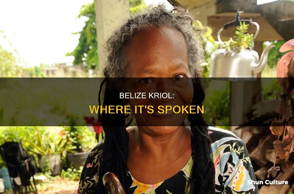 where is belize kriol spoken