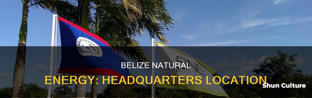 where is belize natural energy located