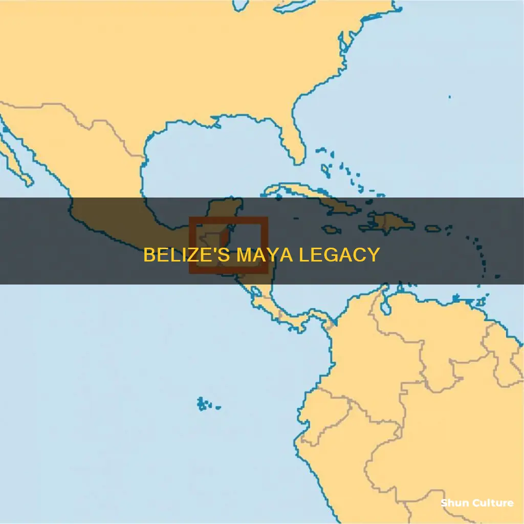 where is belize on the ma