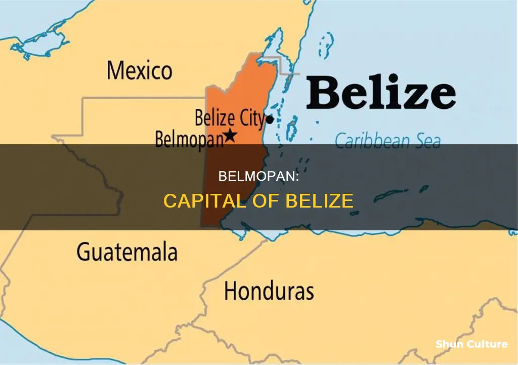 where is belmopan belize located