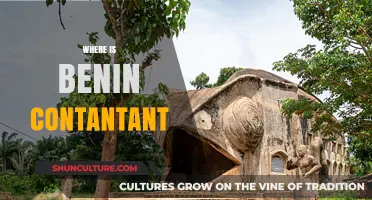 Exploring the Cultural Richness of Benin: A Travel Guide