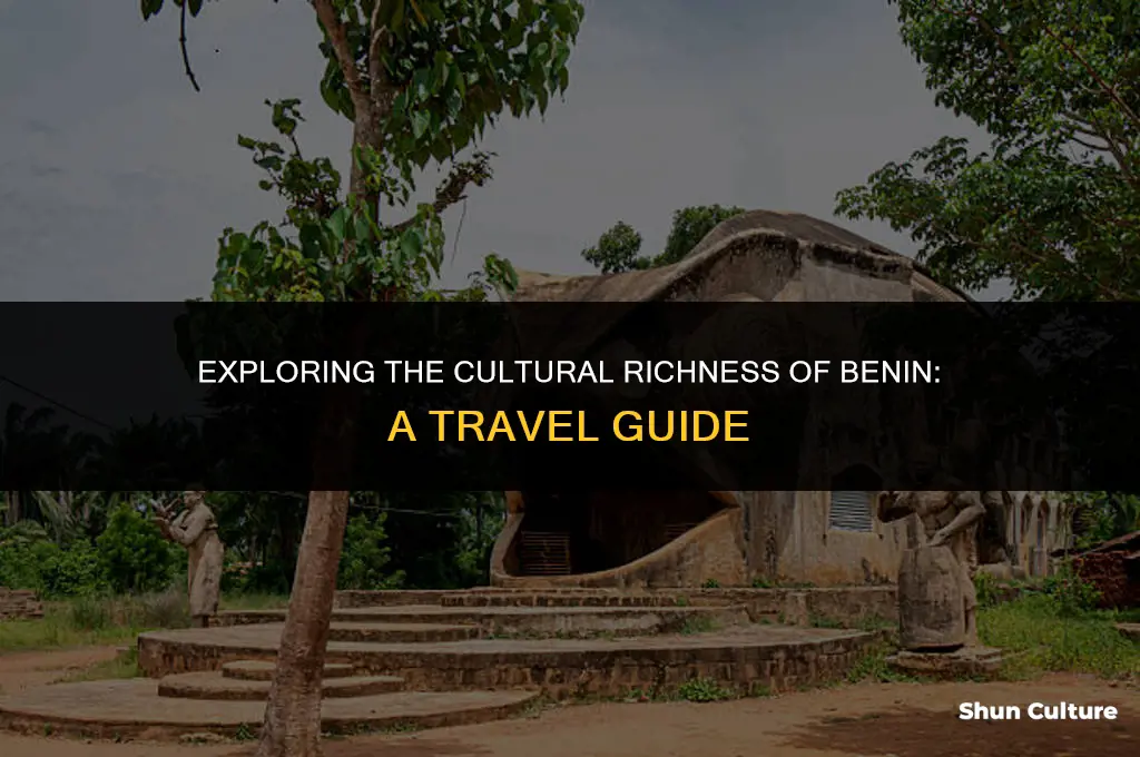 where is benin contantant