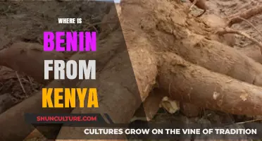 Exploring the Roots: A Journey to Discover Benin's Kenyan Heritage