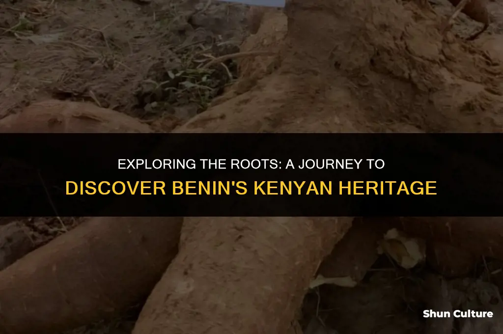 where is benin from kenya