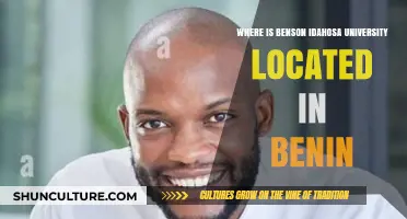 Discovering Benson Idahosa University: A Guide to Its Benin Location