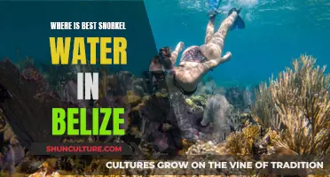 Belize's Best Snorkel Spots