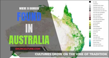 Biomass in Australia: Where Is It Found?