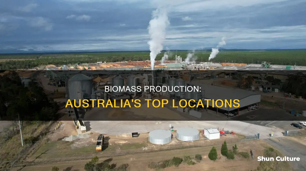 where is biomass made in australia