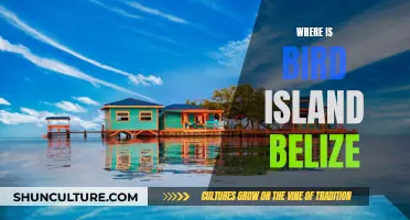 Bird Island: Belize's Tropical Sanctuary