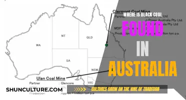 Black Coal Deposits: Australia's Top Regions