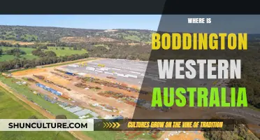 Exploring Boddington: A Western Australia Gem