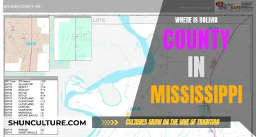 Exploring Mississippi's Bolivia County: A Geographical Mystery