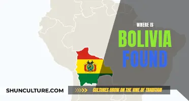 Exploring Bolivia's Unique Geography and Location