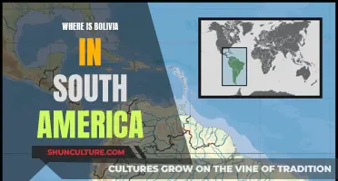 Bolivia's Location in South America Explained