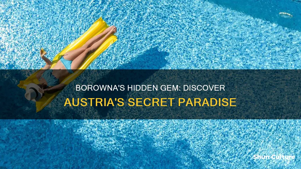 where is borowna austria