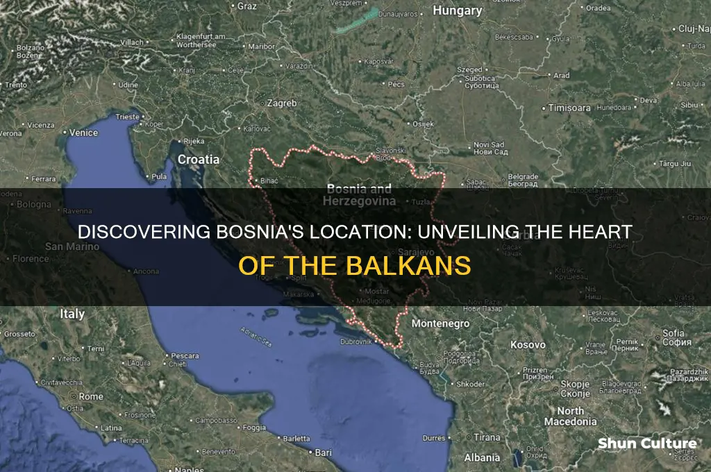where is bosni