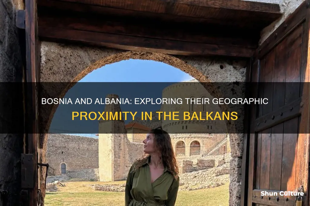 where is bosnia in relation to albania