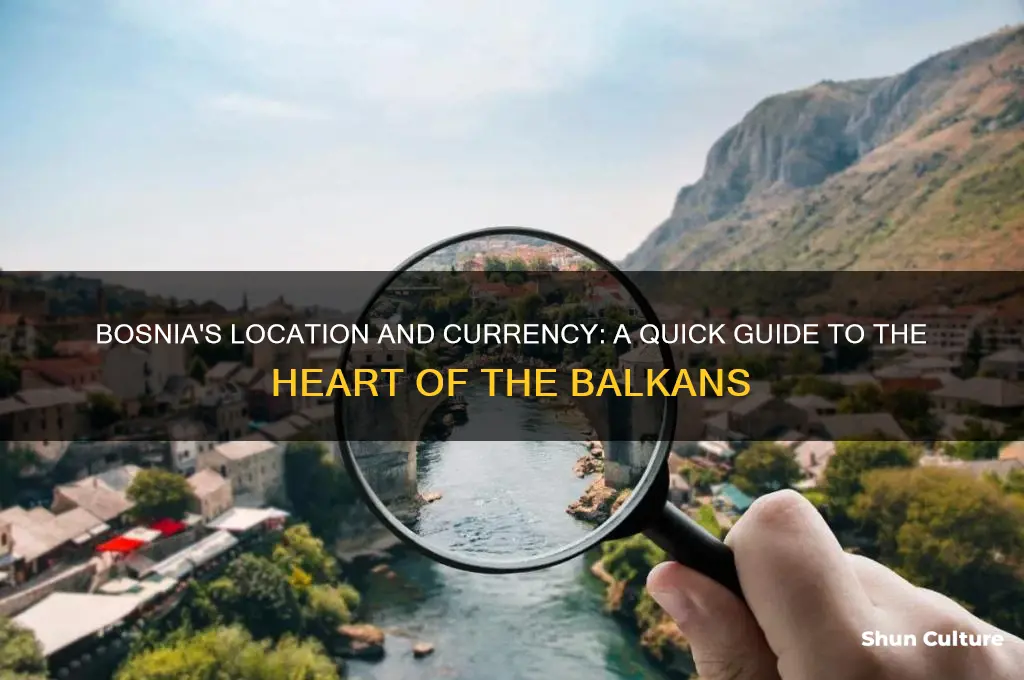 where is bosnia located and what is their currency