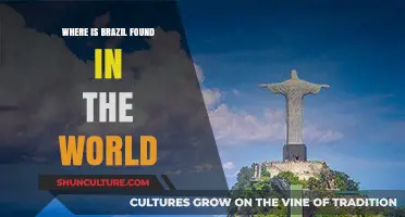 Discovering Brazil's Global Location: A South American Gem Unveiled
