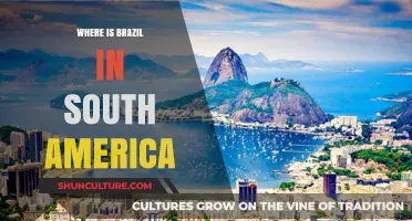 Exploring Brazil's Location: A South American Geographic Overview