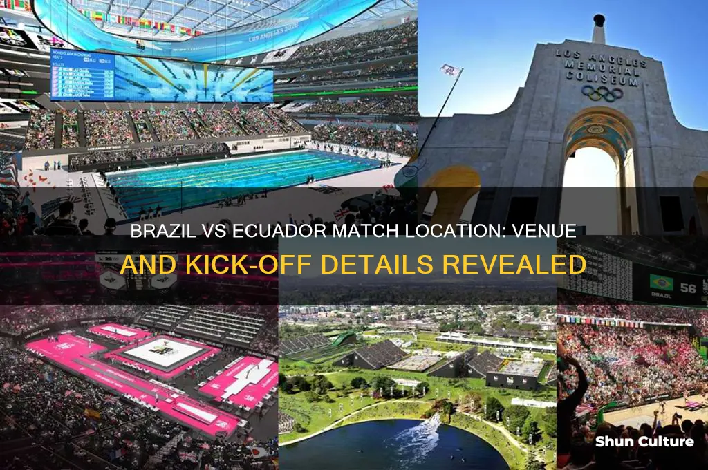 where is brazil vs ecuador playing