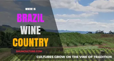 Exploring Brazil's Hidden Wine Country: A Guide to Its Vineyards