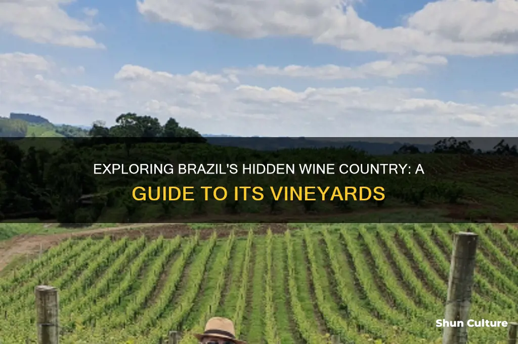 where is brazil wine country