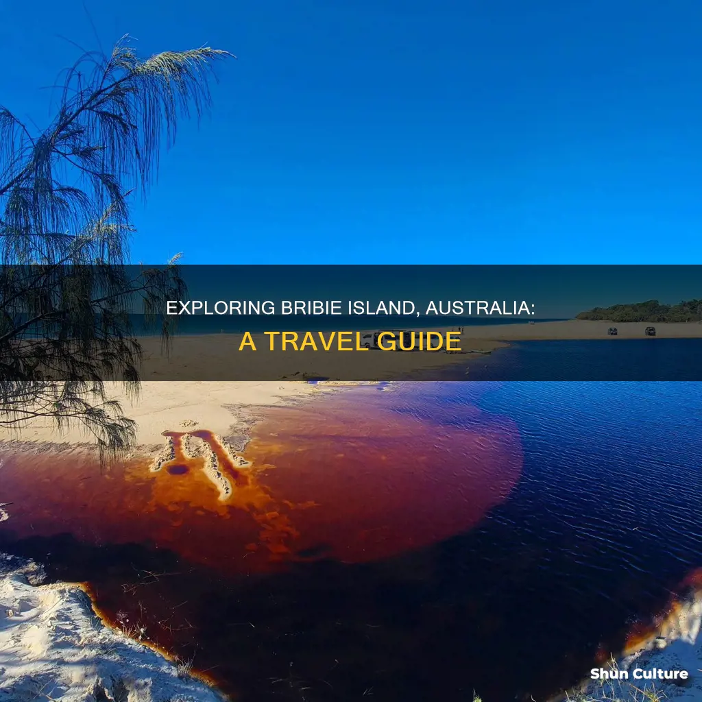 where is bribie island australia
