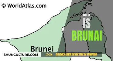 Discovering Brunei's Location in Southeast Asia