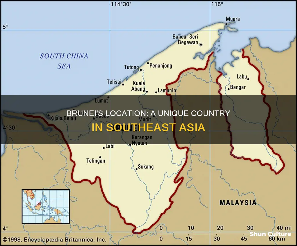 where is brunei found