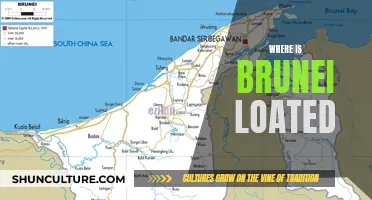 Brunei's Location: A Southeast Asian Gem