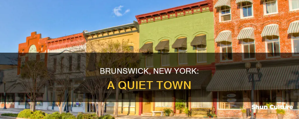 where is brunswick new york