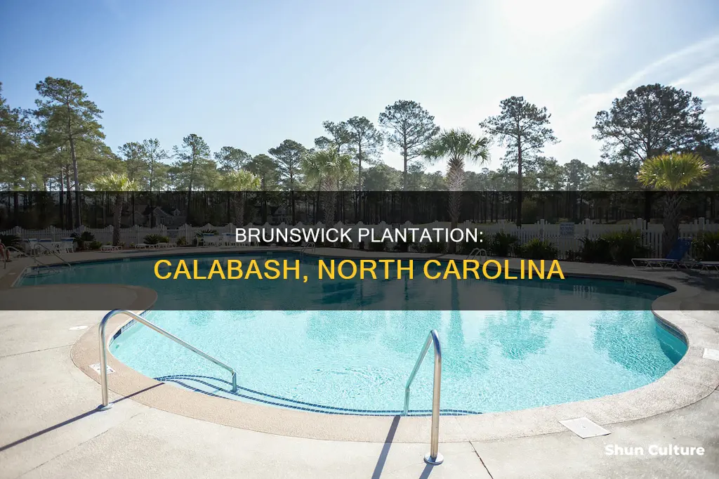 where is brunswick plantation located