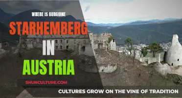 Burguine Starhemberg: Unveiling Austria's Hidden Castle Gem