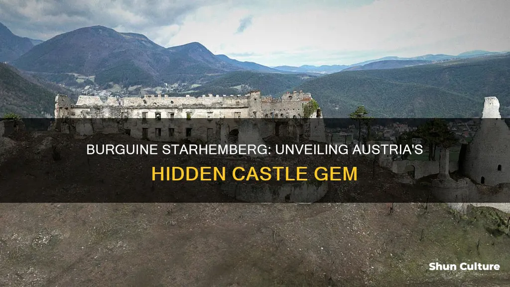 where is burguine starhemberg in austria