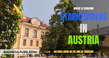 Exploring Burguine Starhemberg: Austria's Hidden Gem