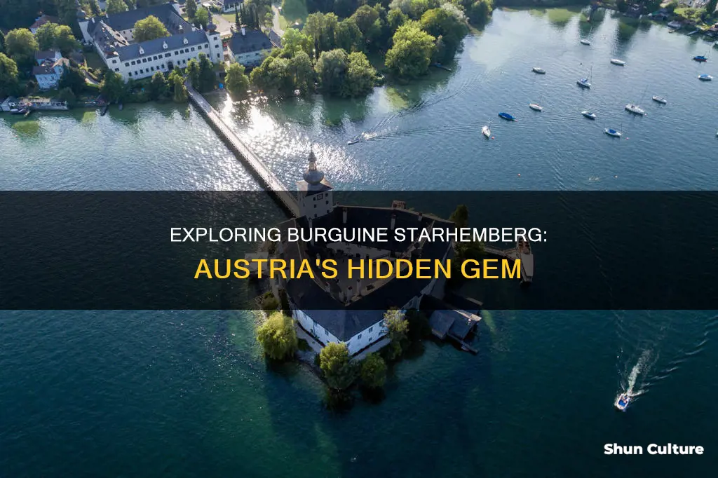 where is burguine starhemberg in austria