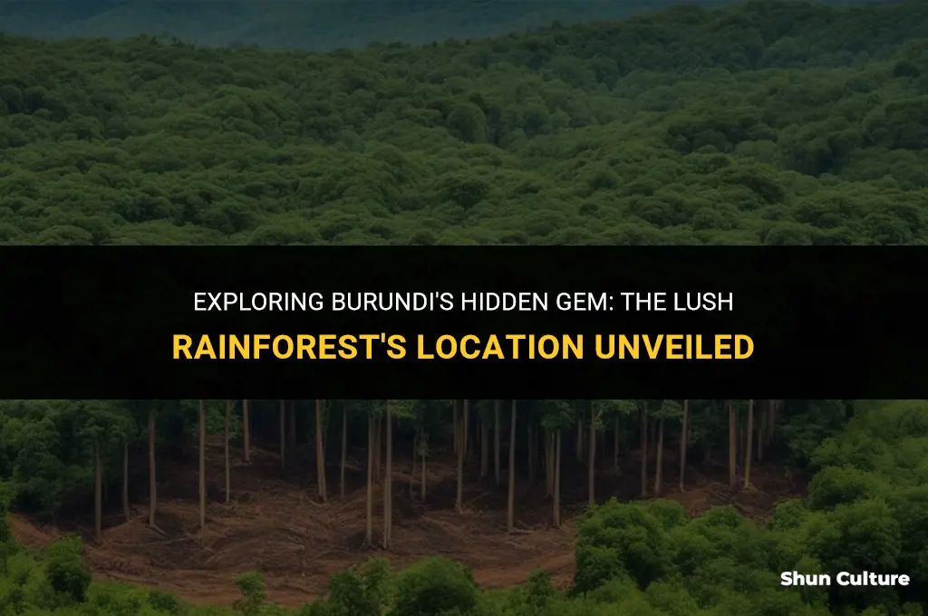 where is burundis rainforest located