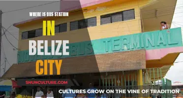 Belize City Bus Station Location