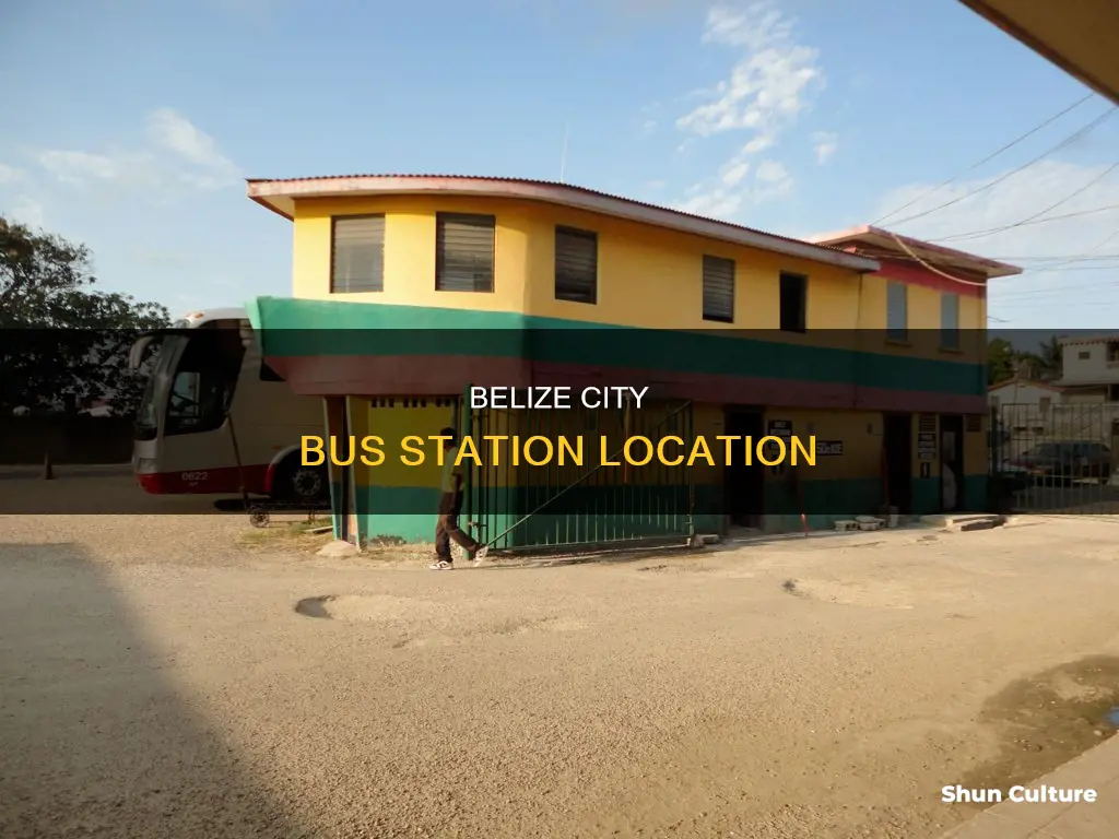 where is bus station in belize city