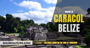 Caracol: A Hidden Maya City in Belize's Rainforest