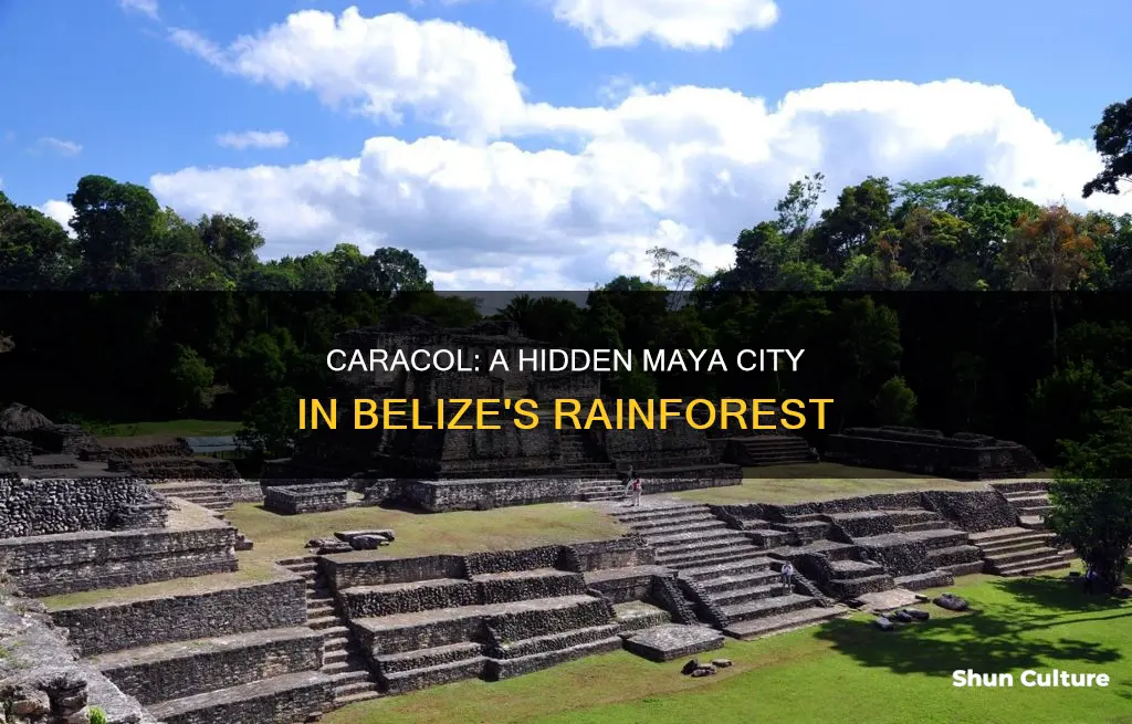 where is caracol belize